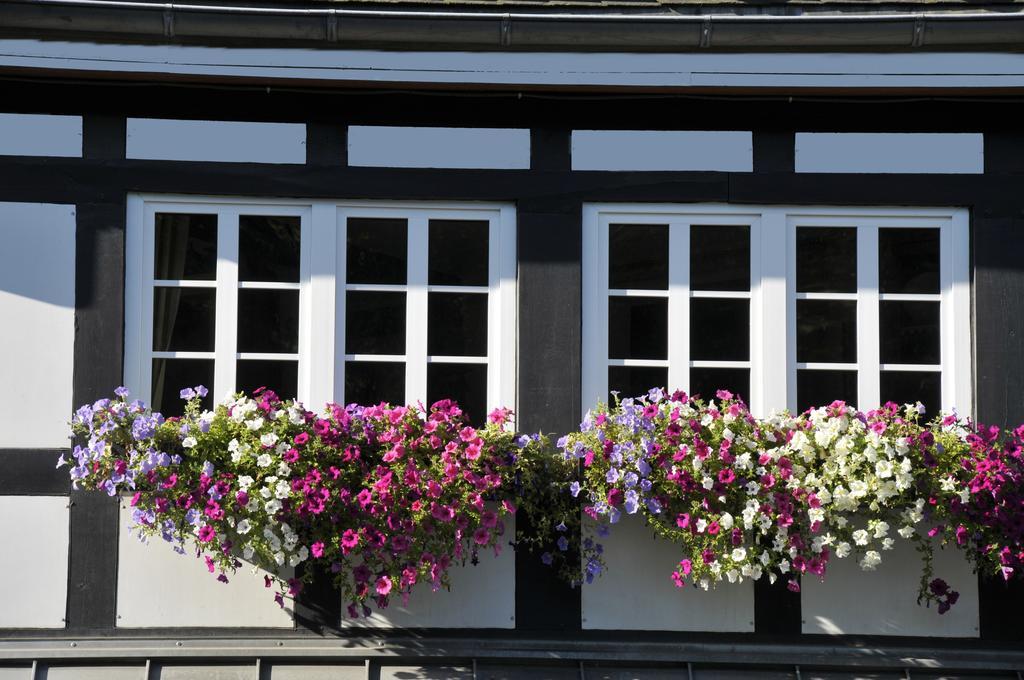 Landidyll Hotel Haus Hochstein Eslohe Eksteriør bilde